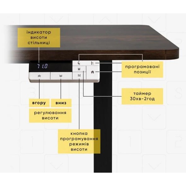 Фото - Стол с электрорегулировкой высоты Evo-kids PowerDesk Duo Antique (EVO-242 Duo Antique / Black)